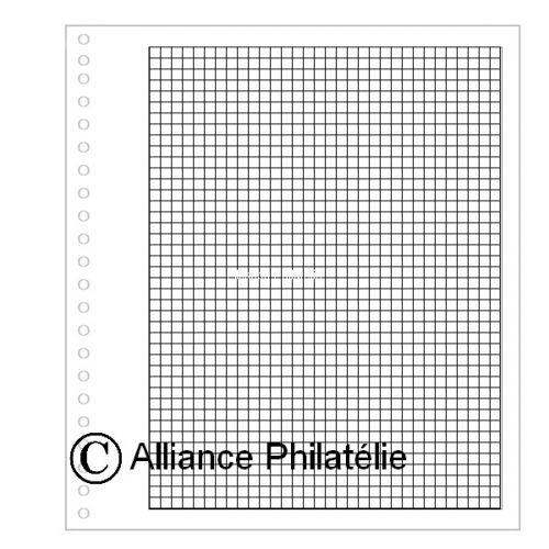 Pages vierges "SUPRA" : quadrillées (x50)