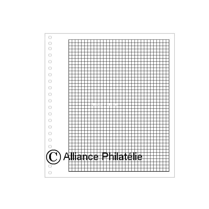 Pages vierges "SUPRA" : quadrillées (x50)