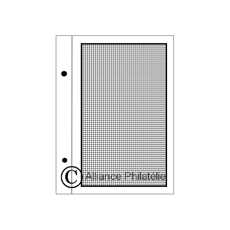 Feuilles à personnaliser FS : pages quadrillées (x50)