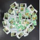 Lot de faciale 100 timbres TVP Vert