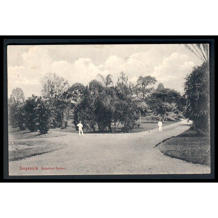 Lot 8449 - Cartes Postales - N°138  - Oblitéré Qualité TB